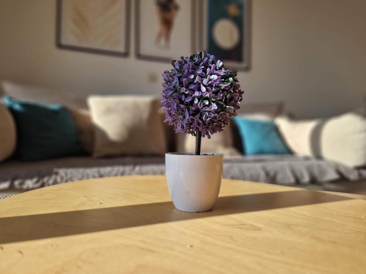 City Apartment Sanja Макарська Екстер'єр фото